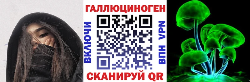 Купить где  Фрязино  Галлюциногенные грибы MAGIC MUSHROOMS 